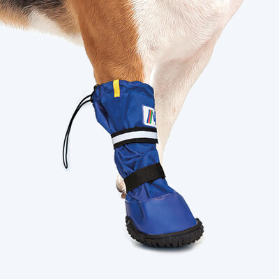 Medical Pet Boot 3