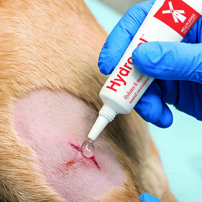 Hydrogel Apply WEB