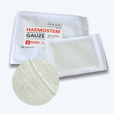 Haemostem Gauze Web 2024